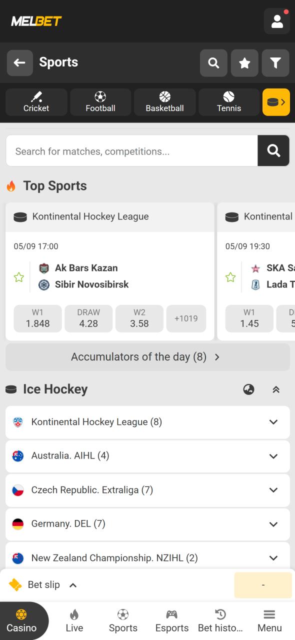 Go to the ice hockey section on the Melbet sportsbook with ease.